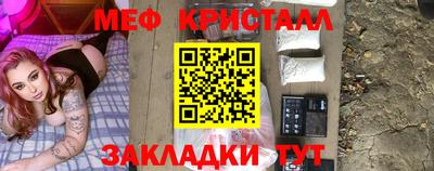 стаф Можга