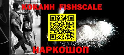 стаф Можга