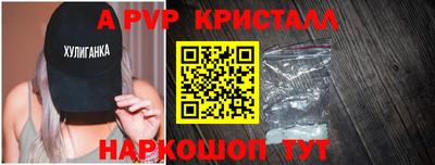 стаф Можга