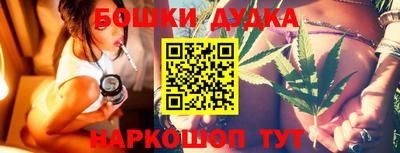 стаф Можга