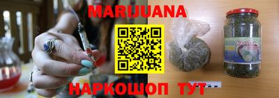 стаф Можга