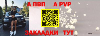 стаф Можга
