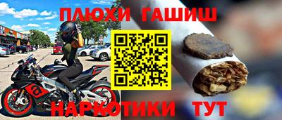 стаф Можга