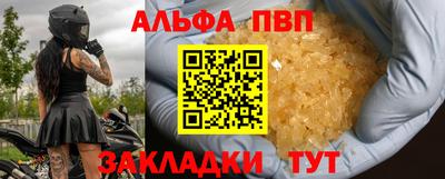 стаф Можга